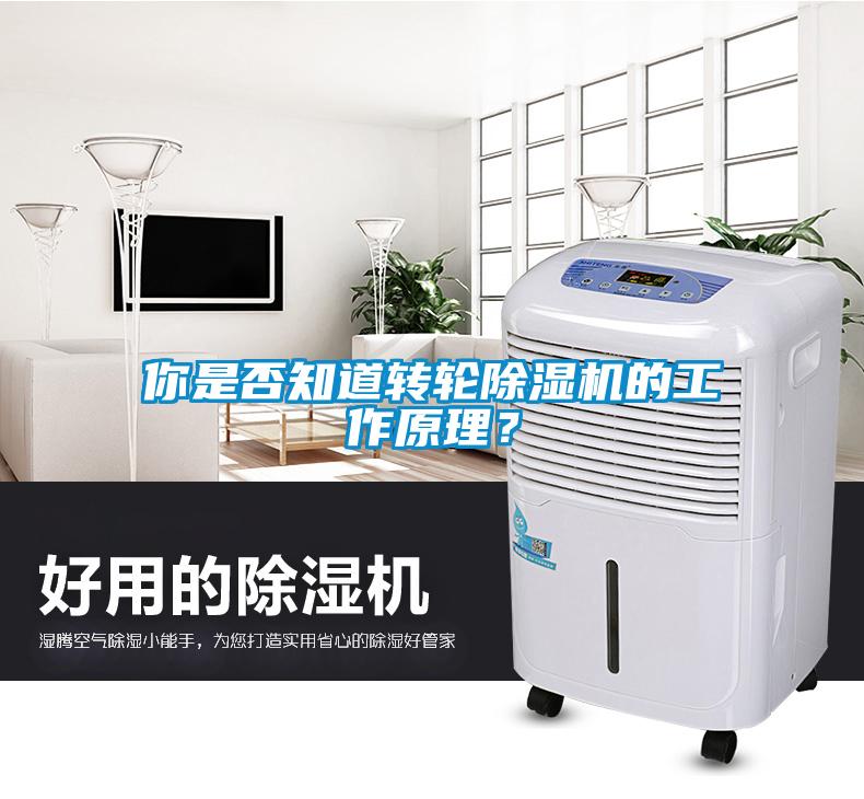 你是否知道转轮除湿机的工作原理？