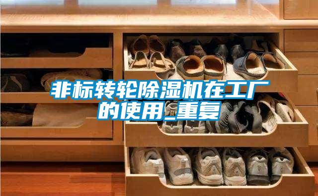 非标转轮除湿机在工厂的使用_重复