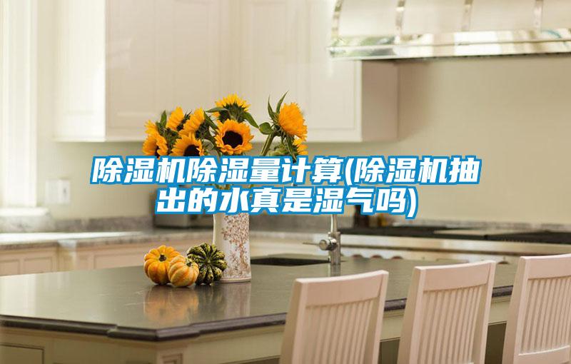 除湿机除湿量计算(除湿机抽出的水真是湿气吗)