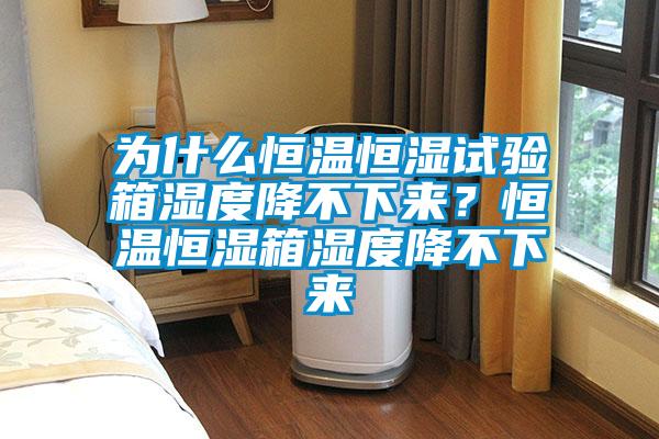为什么恒温恒湿试验箱湿度降不下来？恒温恒湿箱湿度降不下来