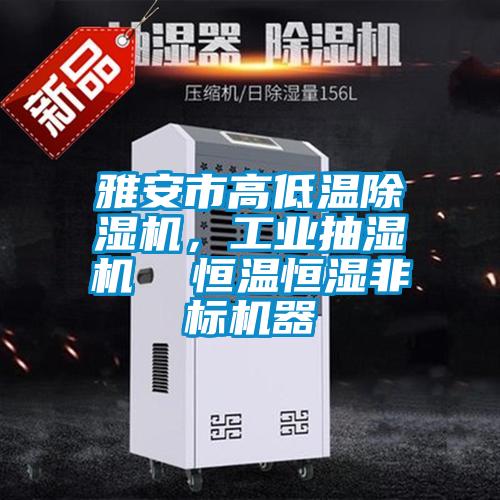 雅安市高低温除湿机，工业抽湿机  恒温恒湿非标机器