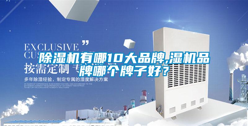 除湿机有哪10大品牌,湿机品牌哪个牌子好？