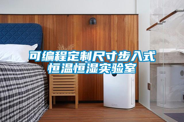 可编程定制尺寸步入式恒温恒湿实验室