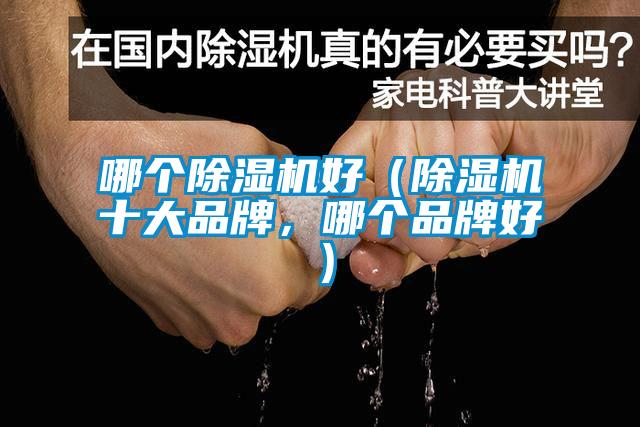 哪个除湿机好（除湿机十大品牌，哪个品牌好）