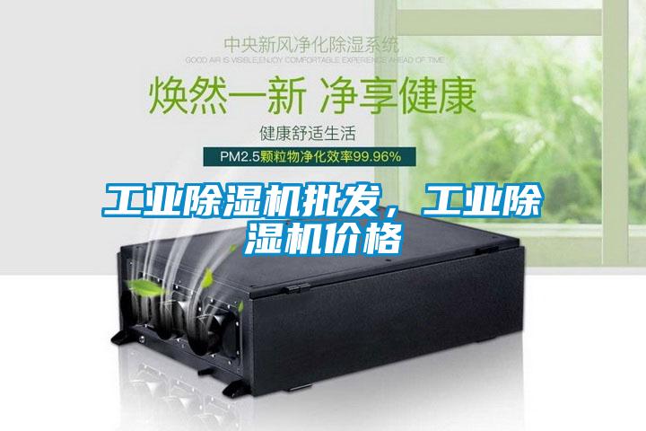 工业除湿机批发，工业除湿机价格