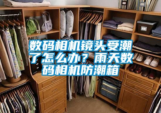 数码相机镜头受潮了怎么办？雨天数码相机防潮箱