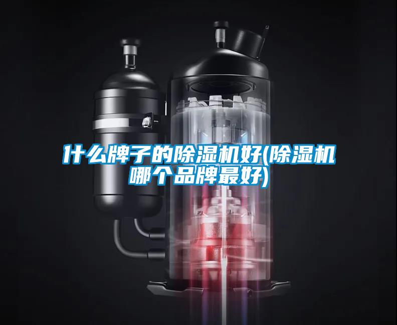什么牌子的除湿机好(除湿机哪个品牌最好)