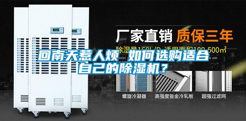 回南天惹人烦 如何选购适合自己的除湿机？