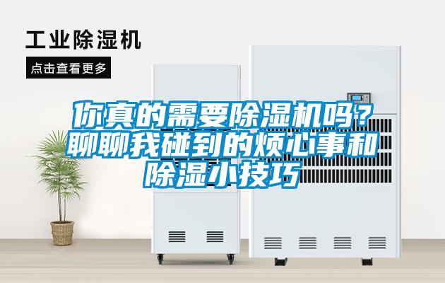 你真的需要除湿机吗？聊聊我碰到的烦心事和除湿小技巧