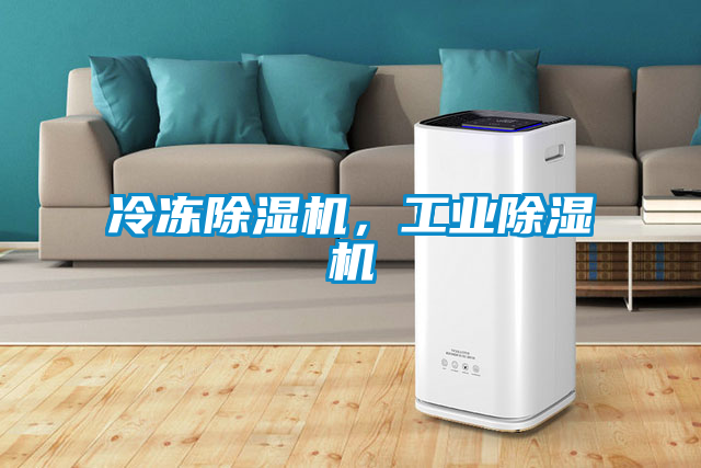 冷冻除湿机，工业除湿机