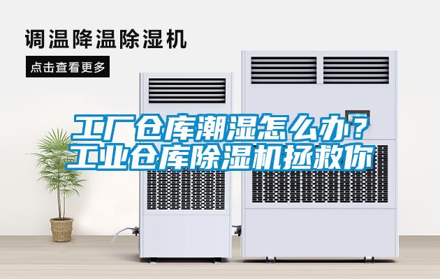 工廠倉(cāng)庫(kù)潮濕怎么辦？工業(yè)倉(cāng)庫(kù)除濕機(jī)拯救你