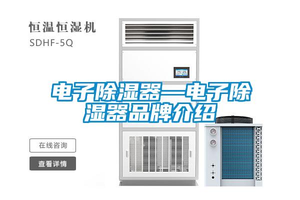 电子除湿器—电子除湿器品牌介绍