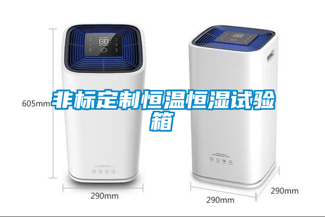 非标定制恒温恒湿试验箱
