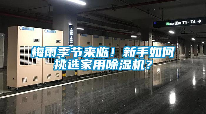 梅雨季节来临！新手如何挑选家用除湿机？