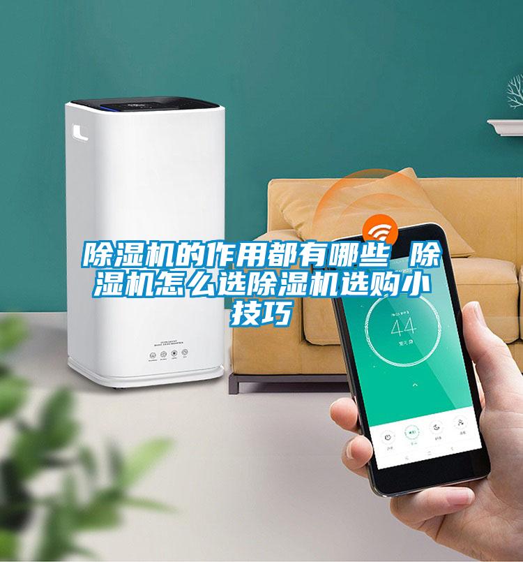 除湿机的作用都有哪些 除湿机怎么选除湿机选购小技巧