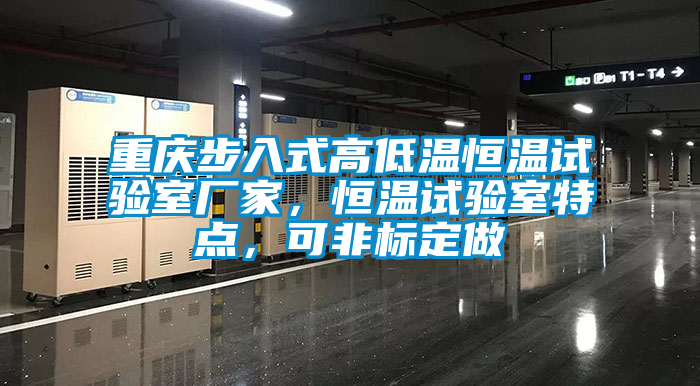重庆步入式高低温恒温试验室厂家，恒温试验室特点，可非标定做