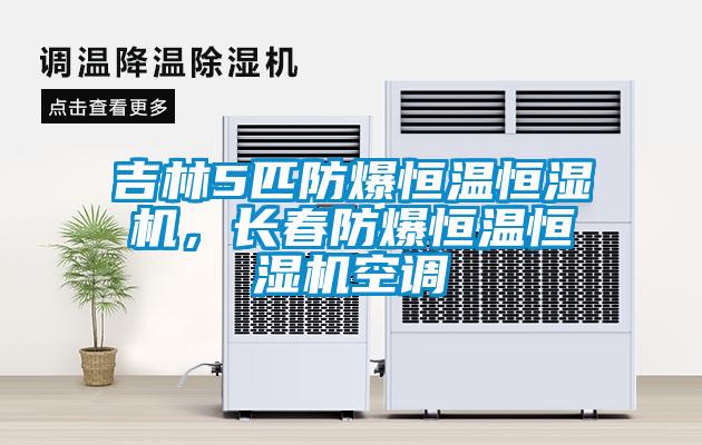 吉林5匹防爆恒温恒湿机，长春防爆恒温恒湿机空调