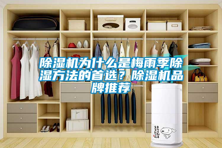 除湿机为什么是梅雨季除湿方法的首??？除湿机品牌推荐