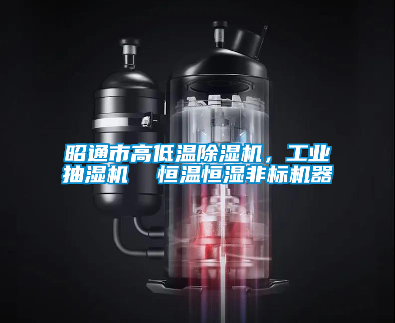 昭通市高低温除湿机，工业抽湿机  恒温恒湿非标机器
