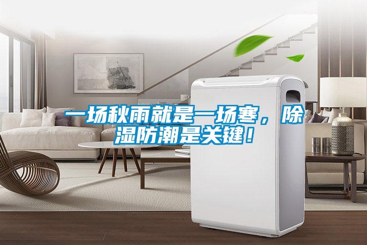一场秋雨就是一场寒，除湿防潮是关键！
