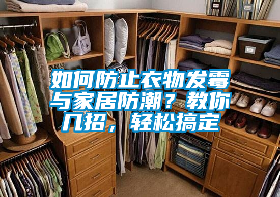 如何防止衣物发霉与家居防潮？教你几招，轻松搞定