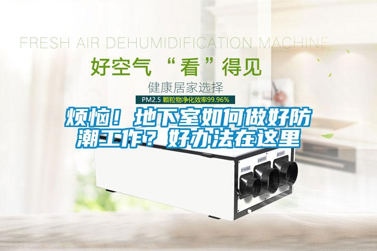 烦恼！地下室如何做好防潮工作？好办法在这里