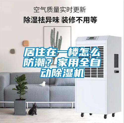 居住在一楼怎么防潮？家用全自动除湿机
