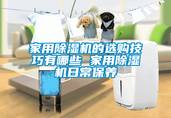 家用除湿机的选购技巧有哪些 家用除湿机日常保养