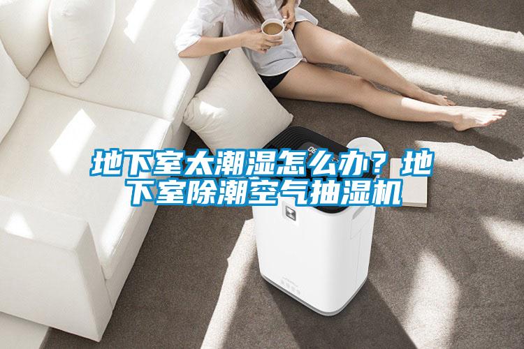 地下室太潮湿怎么办？地下室除潮空气抽湿机