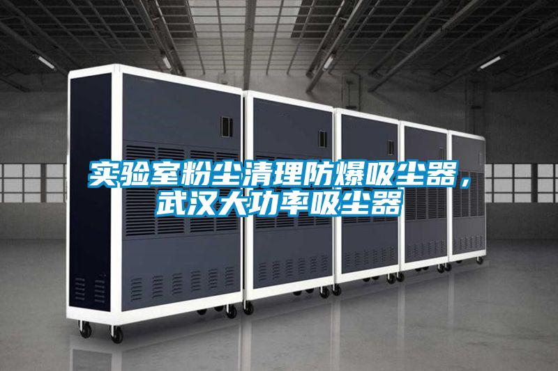 实验室粉尘清理防爆吸尘器，武汉大功率吸尘器