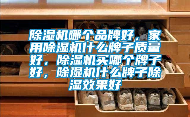 除湿机哪个品牌好，家用除湿机什么牌子质量好，除湿机买哪个牌子好，除湿机什么牌子除湿效果好