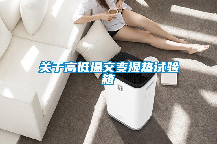关于高低温交变湿热试验箱
