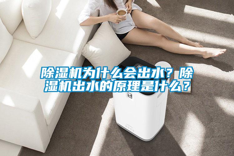 除湿机为什么会出水？除湿机出水的原理是什么？