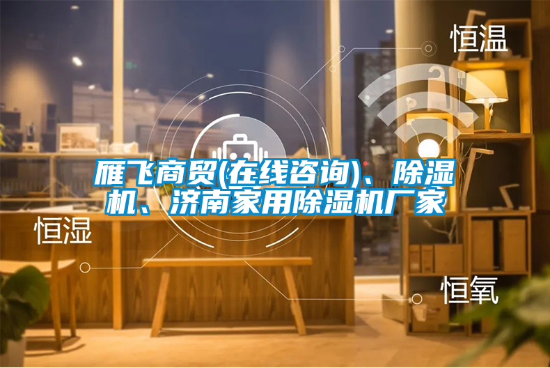 雁飞商贸(在线咨询)、除湿机、济南家用除湿机厂家