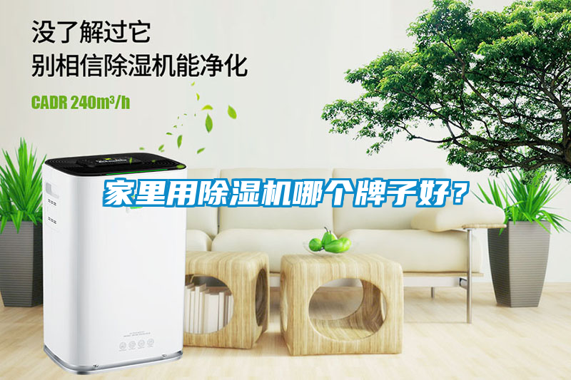 家里用除湿机哪个牌子好？
