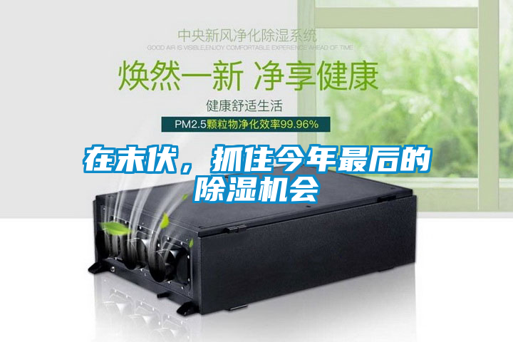在末伏，抓住今年最后的除湿机会