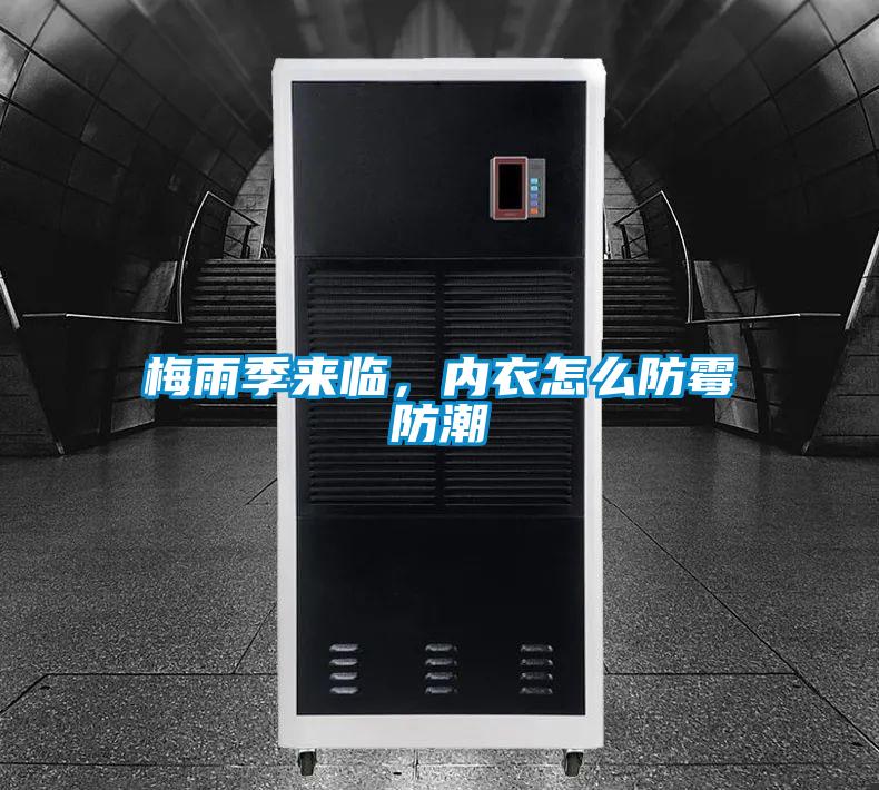 梅雨季来临，内衣怎么防霉防潮