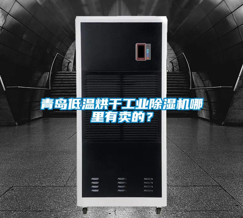 青岛低温烘干工业除湿机哪里有卖的？