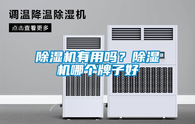 除湿机有用吗？除湿机哪个牌子好
