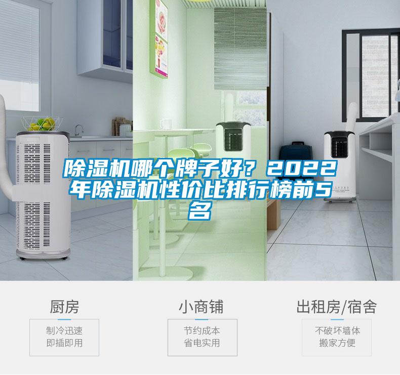 除湿机哪个牌子好？2022年除湿机性价比排行榜前5名