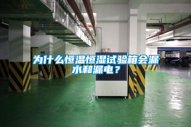 为什么恒温恒湿试验箱会漏水和漏电？