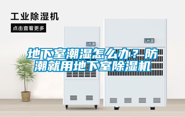 地下室潮湿怎么办？防潮就用地下室除湿机
