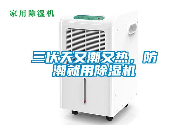 三伏天又潮又热，防潮就用除湿机