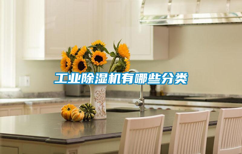 工业除湿机有哪些分类