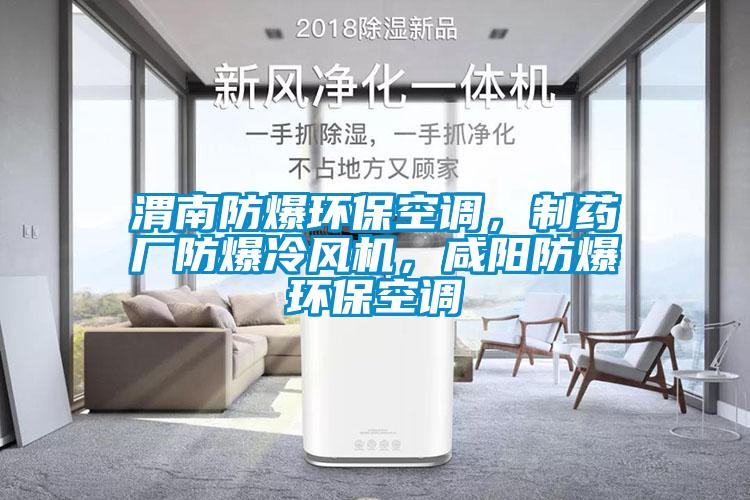 渭南防爆環(huán)?？照{，制藥廠防爆冷風機，咸陽防爆環(huán)?？照{