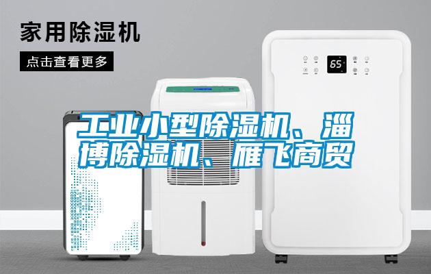 工业小型除湿机、淄博除湿机、雁飞商贸