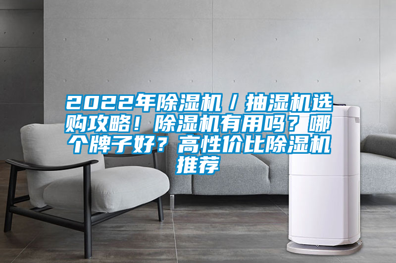 2022年除湿机／抽湿机选购攻略！除湿机有用吗？哪个牌子好？高性价比除湿机推荐