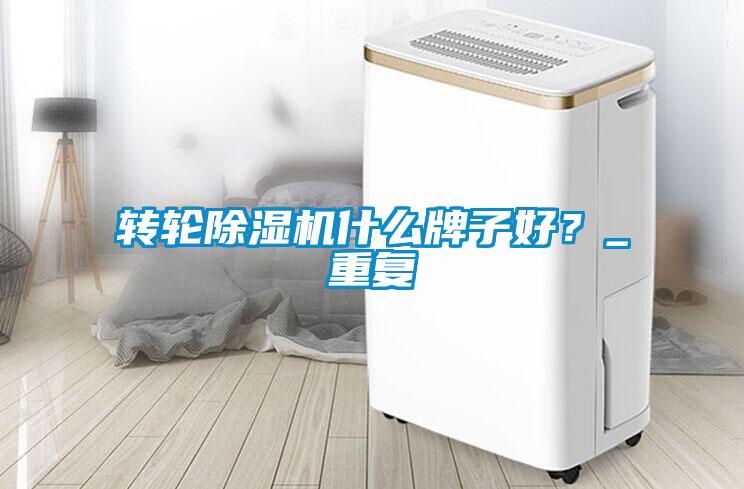 转轮除湿机什么牌子好？_重复