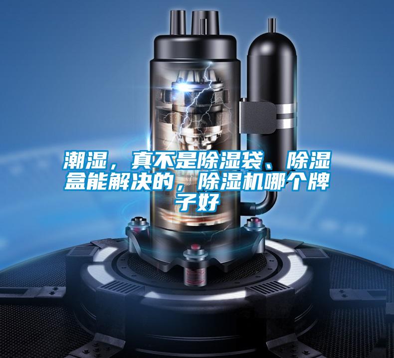 潮濕，真不是除濕袋、除濕盒能解決的，除濕機(jī)哪個牌子好