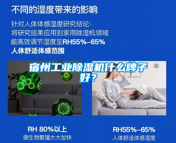 宿州工業(yè)除濕機(jī)什么牌子好？